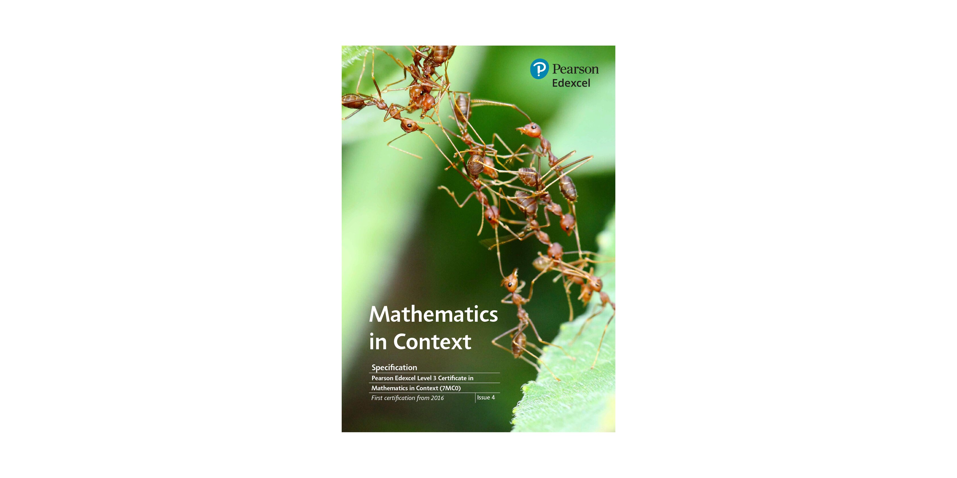 maths in context