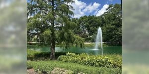 An outdoor area featuring a walkway, landscaping, and a pond with a fountain.