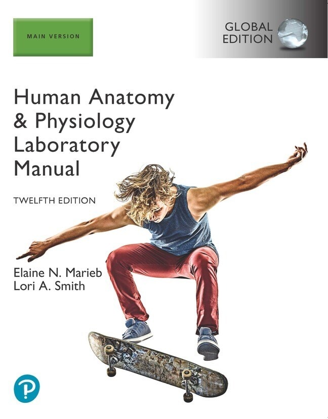 Book cover of Human Anatomy & Physiology Laboratory Manual, Main Version, Global Edition