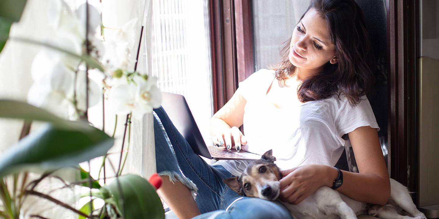 A woman sits in a window seat looking at a laptop computer, with a dog on her lap.