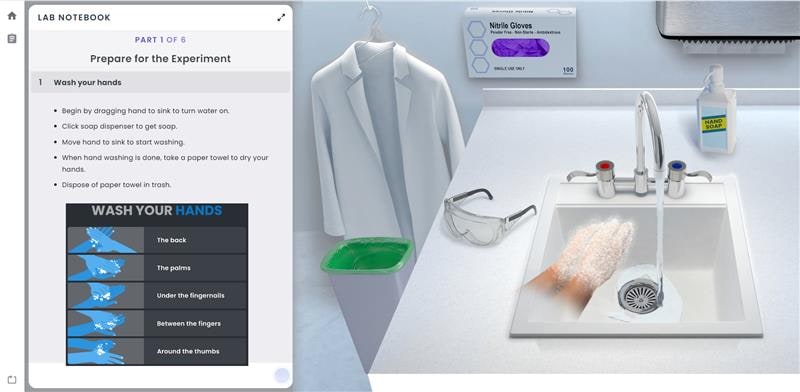 Lab Notebook: Prepare for the Experiement: Wash Your Hands Lab Animation